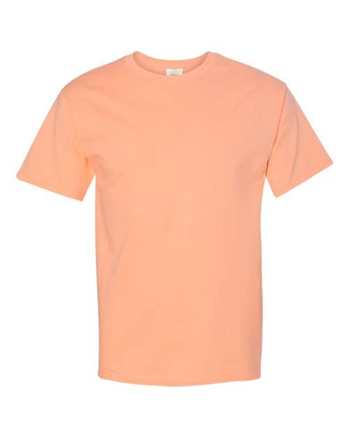 Hanes 5250 Unisex Authentic T-Shirt