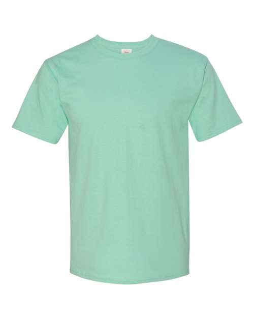 Hanes 5250 Unisex Authentic T-Shirt