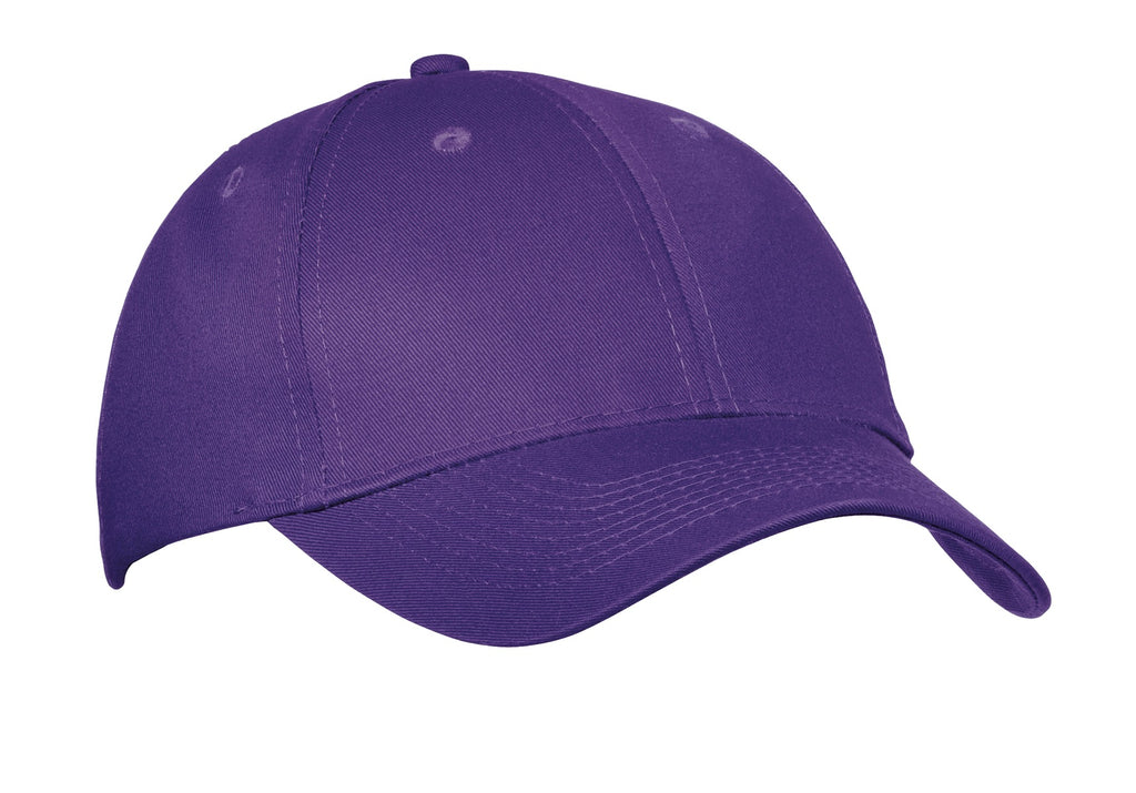 Port Authority CP80 Panel Twill Cap