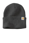 Carhartt CT104597 Carhartt Watch Cap 2.0